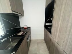 Irwell Hill Residences (D9), Apartment #459058941